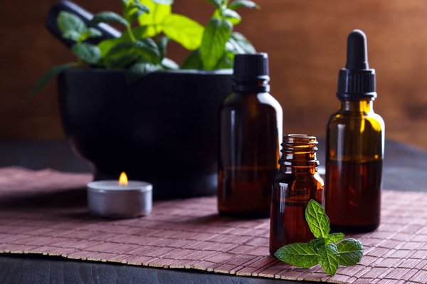 Quelle plante est votre meilleure alliées pour améliorer votre bien-être et sérénité ?
