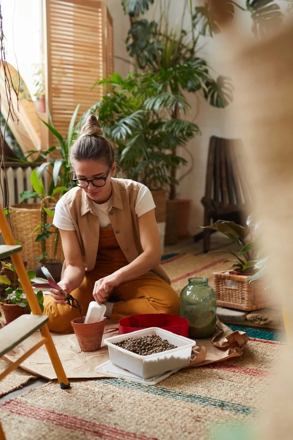 Les bienfaits méconnus des plantes d'intérieur sur votre santé mentale