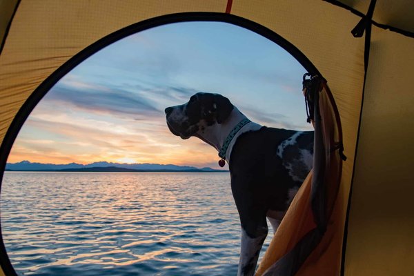 Pourquoi séjourner dans un camping 3 étoiles?